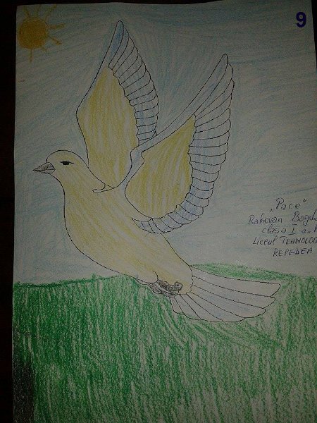 9_Bogdan RAHOVAN_Lic Repedea.jpg